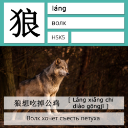 Волк на китайском языке. Карточки китайских иероглифов.