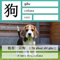 Собака на китайском языке. Карточки китайских иероглифов.