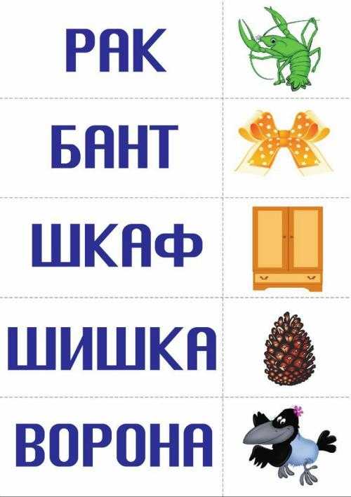 Визуальный словарь русского языка