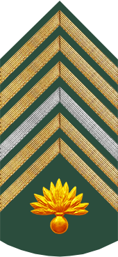 Military ranks of the Brazilian Army